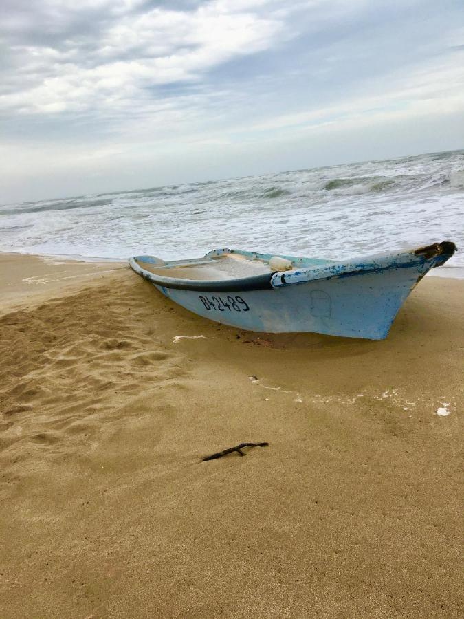 Beach, Wine, Dining, Sports, Summer, Winter Apartment เซริญญ็อง ภายนอก รูปภาพ