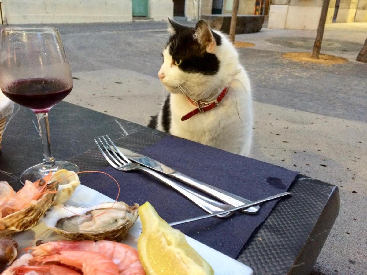 Beach, Wine, Dining, Sports, Summer, Winter Apartment เซริญญ็อง ภายนอก รูปภาพ